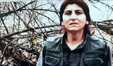PKK-nın yüksək rütbəli qadın terrorçusu məhv edildi