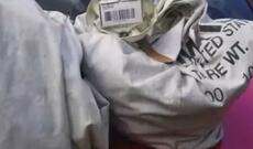 1 milyon dollar tapdı və pulu polisə təhvil verdi