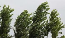 Güclü külək əsəcək, temperatur aşağı düşəcək