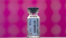 COVİD-19 üçün vaksin axtarışları davam edir