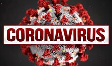 Alimlərdən koronavirusla bağlı nikbin proqnoz: Aktivlik azalacaq