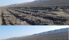 Rövşən Rzayev "Göygöl Milli Parkı"nda 200 hektarlıq meşə təsərrüfatına günəbaxan əkdirir? - ŞOK İDDİA