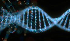 Cinsiyyətimizi müəyyən edən Y xromosomunun genetik kodu ilk dəfə tam şəkildə
