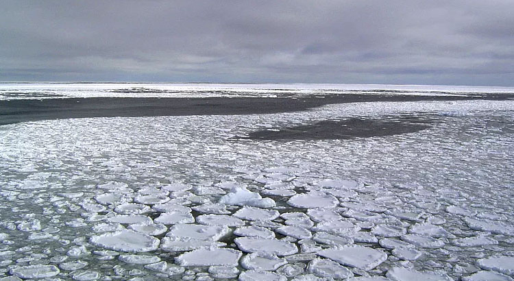 Antarktidada dəniz buzları sahəsi son 45 ilin ən aşağı səviyyəsindədir