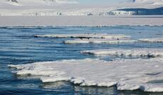 Arktikada ən isti yay qeydə alınıb