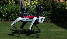 “Boston Dynamics” robotları Trampın Mar-a-Laqo iqamətgahını qorumağa başlayıb