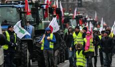 Polşalı fermerlər dekabrın 10-dan sonra Ukrayna ilə bütün sərhədi bağlamaqla hədələyiblər