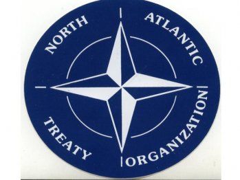 Ukrayna NATO-dan təhlükəsizliklə bağlı təminat istəyib