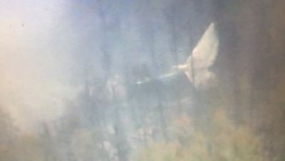 Rusiyada yoxa çıxmış “İl-76”-nın ekipaj üzvlərindən 4-nün cəsədi tapılıb