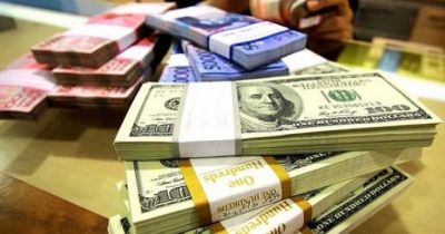 Dollar bu gün də qalxdı