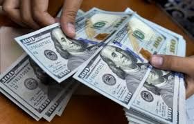 Dolların uçot dərəcəsinin artma ehtimalı azalıb