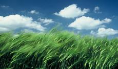 Sabah Bakıda buludlu hava, rayonlarda isə yağış və dolu gözlənilir