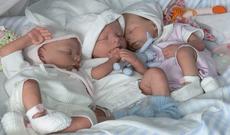 Bu il Azərbaycanda 1238 əkiz, 36 üçəm doğulub