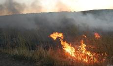 Qax və Yevlax rayonlarında yanğın baş verib