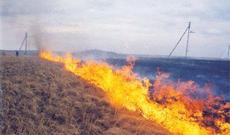 Respublikamızın rayonlarında yanğınlar olub