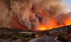 Sibir od tutub yanır, Jirinovski günahı hökumətdə görür