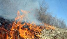 Qaradağ və Goranboy rayonlarında yanğın olub