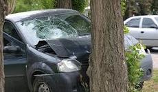 Lənkəranda “Toyota” ağaca çırpılıb:  Bir nəfər ölüb, bir nəfər yaralanıb