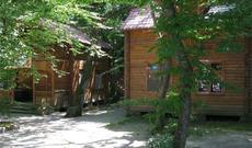 Qəbələdəki istirahət mərkəzindən — BİABIRÇI GÖRÜNTÜLƏR