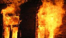 Yeddi ayda 5 min tonadək süd idxal edilib