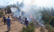 Hirkan Milli Parkında yanğın tuğyan edir