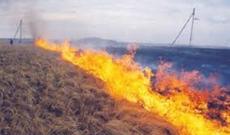 Göygöldə və Yardımlıda yanğın olub