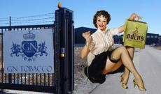 Erməni ailəsinin Azərbaycandakı biznesi – ŞOK FAKTLAR-VİDEO