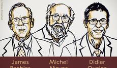 2019-cu il üzrə fizika sahəsində Nobel mükafatı laureatlarının adları elan edilib