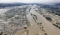 “Haqibis” can almaqda davam edir - Video