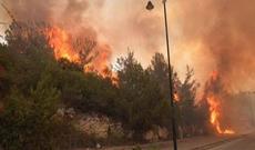 Livanda meşə yanğınları davam edir – Video