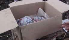 Bakıda birgünlük körpəni küçəyə atdılar - Video