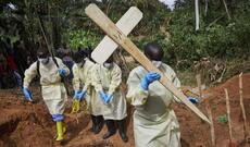 Ebola ilə bağlı araşdırma aparan jurnalist evində öldürülüb