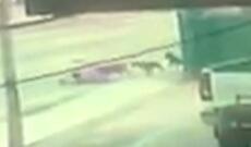 ABŞ-da vəhşi itlər küçənin ortasında insanı parçaladı - VİDEO