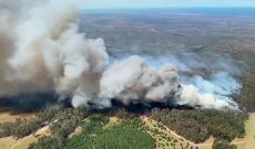 Avstraliyada meşə yanğınları - Video