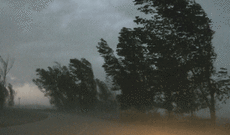 Sabah külək güclənəcək, temperatur enəcək