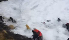 Nəhəng dalğa turistləri “yuyub apardı” – Video