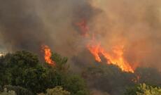 Gürcüstanda meşə yanğınları yenidən tüğyan edir