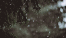 Temperatur aşağı düşəcək, külək və yağış xəbərdarlığı