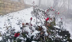 Azərbaycanda payız qarı - Fotolar