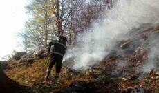 Gürcüstanın Şidi Kartli bölgəsində meşə yanğınları 70 hektara yaxın ərazini əhatə edib