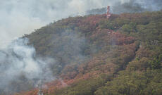 5 milyon hektar ərazi kül oldu