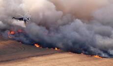 Avstraliyada kütləvi meşə yanğınları baş verib