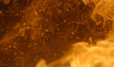 Yanğınlardan əvvəlki vəziyyətinə qayıtması üçün Avstraliyaya 100 il vaxt lazımdır