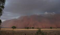 Avstraliyada güclü yağışlar da yanğını söndürə bilməyib
