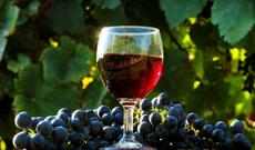 Gürcüstan şərab ixracında rekorda imza atdı