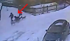 Məktəbdən qayıdan uşağa it sürücü hücum etdi + VİDEO