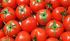 Türkiyədən Rusiyaya pomidor göndərilməsi problemlə üzləşib