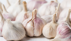 Rusiyada koronavirusa görə sarımsaq bahalaşıb