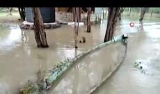 Keniyada sel fəlakətində 194 nəfər öldü