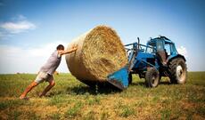 Fermerlərə bu il güzəştli şərtlərlə verilən mikro kreditlərin məbləği açıqlandı